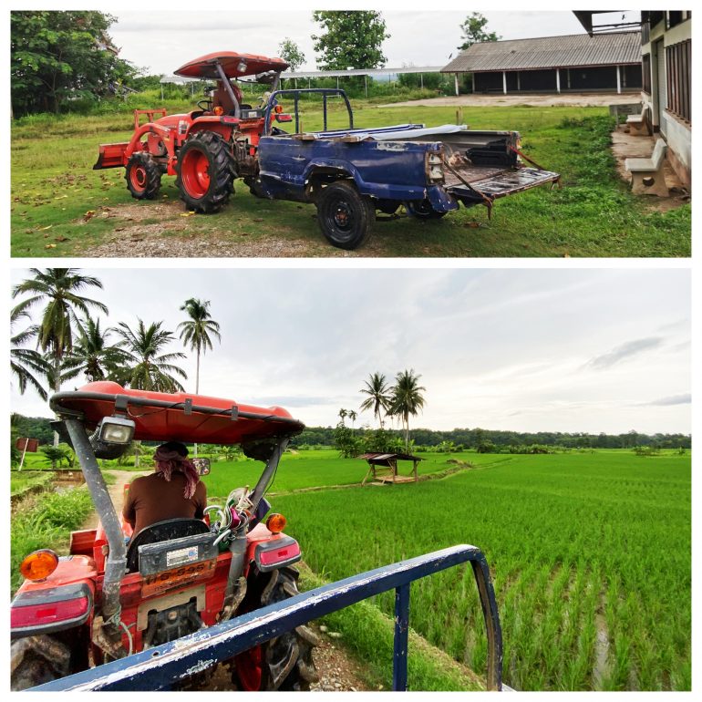 Daidib Daidee Farm Stay ได้ดิบได้ดี ขี่ควายกลางทุ่ง กินพิซซ่าเตาฟืน